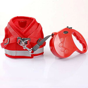 Lpn[lX [h L n[lX Ȃ  L lR [h S6F _ubN bV Lp Lbg ˂ ^ 킢 o  U Oo ʉ@ ЊQ  Ȃ y