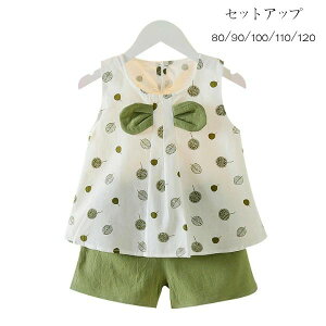 ؍q ĕ ZbgAbv LbY Ԃ ̎q 2_Zbg O[ ㉺Zbg xr[ Ԃ m[X[u gbvX V[gpc  ^||  ۈ牀 ct 