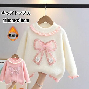 uX[p[SALEzvLbYgbvX q ̎q Z[^[ H~ ؍ qjbgZ[^[ Jbg\[ JWA  N ~ H 킢 ʊw 110cm 120cm 130cm 140cm 150cm LbYg