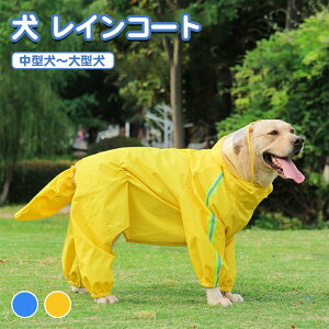  CR[g ^ ^   [h h  |` ₷ ˃e[vt  ~J  傫TCY ȒP Ȃ Jbp U 铹 o CObY 킢