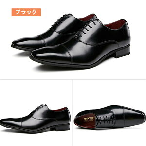 {v rWlXV[Y Y uh amC U[V[Y hXV[Y ₷ ~ Ȃ hCrOV[Y [t@[ Om[Y tH[}  ʋ A