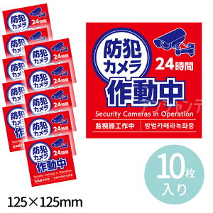 �h�ƃJ�����쓮���X�e�b�J�[ 125×125mm 10���Z�b�g 1�Z�b�g�� / �h�ƃX�e�b�J�[ �h�ƃJ���� �X�e�b�J�[ �h�� ���O�p�ό��X�e�b�J�[ ���O �f�� �h�ƃO�b�Y �ʘH �L�� �� �h�A ���ӊ��N �X�ܗp�h