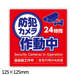 hƃJ쓮XebJ[ 125×125mm 1 / hƃXebJ[ hƃJ쓮 hƃJ XebJ[ h OpόXebJ[ O f hƃObY ʘH L  hA ӊN Xܗp