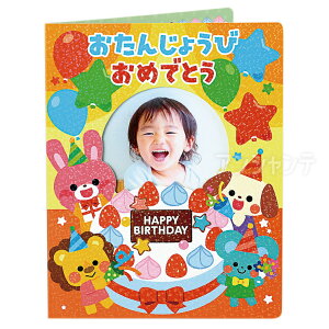 񂶂傤уt@C LLNu 1 / o[Xf[J[h 񂶂傤уJ[h ʐ^ ` t@C^ zOH LL 킢 IWi J[h j a ct 