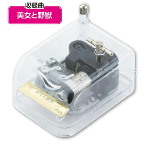 IS[ NX^n[j[ Ɩb 1 / fBYj[ RpNg P[X NAP[X NAf [}C yG CeA Mtg v[g ƋLO LO H