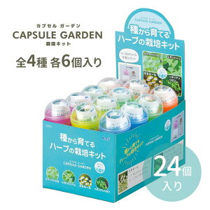 カプセルガーデン BOXセット 全4種 各6個入 1セット入 / まとめ買い イベント 景品 家庭菜園 観察 簡単 かんたん 手軽 夏休み 冬休み 自由研究 課題 野菜 ハーブ スイートバジル レモンバーム