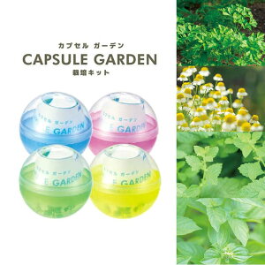 JvZK[f S4 1Zbg / ƒ؉ ώ@ ȒP 񂽂 y ċx ~x R ۑ  n[u XC[goW o[ J~[ C^ApZ  H wZ 