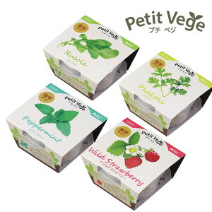 v`xW S4 1Zbg / ƒ؉ ώ@ ȒP 񂽂 y ~jTCY ċx ~x R ۑ  n[u ChXgx[ yp[~g pN`[ bR  H wZ 