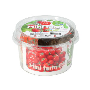 Mini farm ~jt@[ ňĂ~jg}g 1Zbg / ƒ؉ ώ@ ȒP 񂽂 y ~jTCY ċx ~x R ۑ  v`g}g g}g  H wZ  A[e