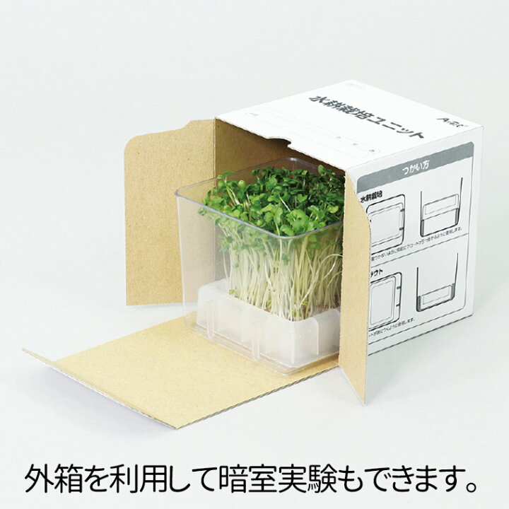 楽天市場 スプラウト栽培キット カイワレダイコン 1セット入 貝割れ かいわれ カイワレ大根 観察 栽培セット 水耕栽培 実験 ブロッコリー スプラウト 家庭菜園 野菜 育成 宿題 自由研究 夏休み 冬休み 観察セット 観察キット 室内 園芸 暗室 アーテック Artec 学校 教材