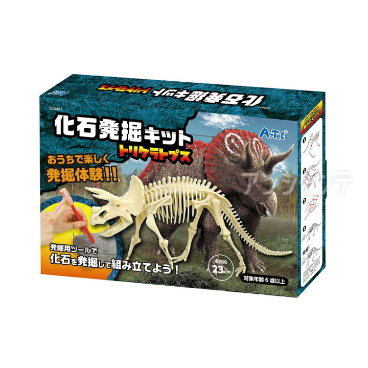 楽天市場】化石発掘キット トリケラトプス 1セット入 / 恐竜 理科 発掘 