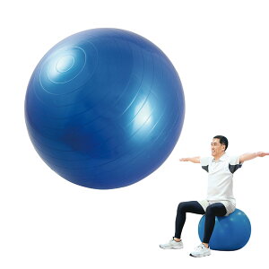 oX{[ Ct 1 / tbg|vt 55cm ̊  oX GNTTCY Ci[}bX ω׏d100kg ֎q _CGbg  K{[ GNTTCY pi hV̓ 