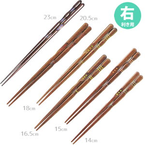 三点支持箸(右利き用・14-23cm)全6サイズ うるし仕上げ はし上手 / 矯正箸 漆仕上げ 箸の正しい持ち方 【ゆうパケット対応】