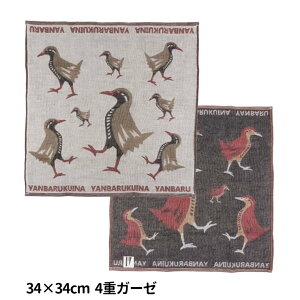 �yToriTori�z �l�d�K�[�[�n���J�` �����o���N�C�i 34cm×34cm / 4�d�K�[�[ �͂񂩂� �^�I�� �^�I���D�� �Ăʂ��� ���炩�� �z���� ��100�� �A�[�g �A�[�g�Ō��C ��� ��B ���΂邭���� �g���g