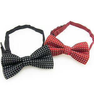 qpʒlN^CiS2Fj / hbg LbYplN^C tH[} \ wZs  y w  Ǝ  ܎O 傤˂ `ElN^Cy䂤pPb