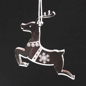 AVe{ AN NX}XI[ig 5mm giJC / IWii Rt Xmas   c[ fR[V yMtg{bNXtzy䂤pPbgΉz
