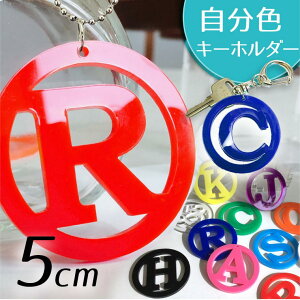 AN ۘgAt@xbgL[z_[ 5cm :3mm AVe{ / IWii {[`F[ ]JtL[z_[ At@xbg  CjV   