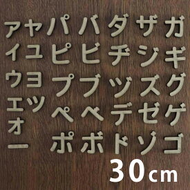 楽天市場 切り文字 カタカナの通販