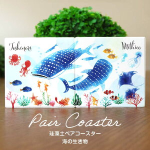 ]y yAR[X^[ C̐ `  AVe{ / IWii V[ sea C  WxGU z Mtg{bNXt  IWi ACe JtF L