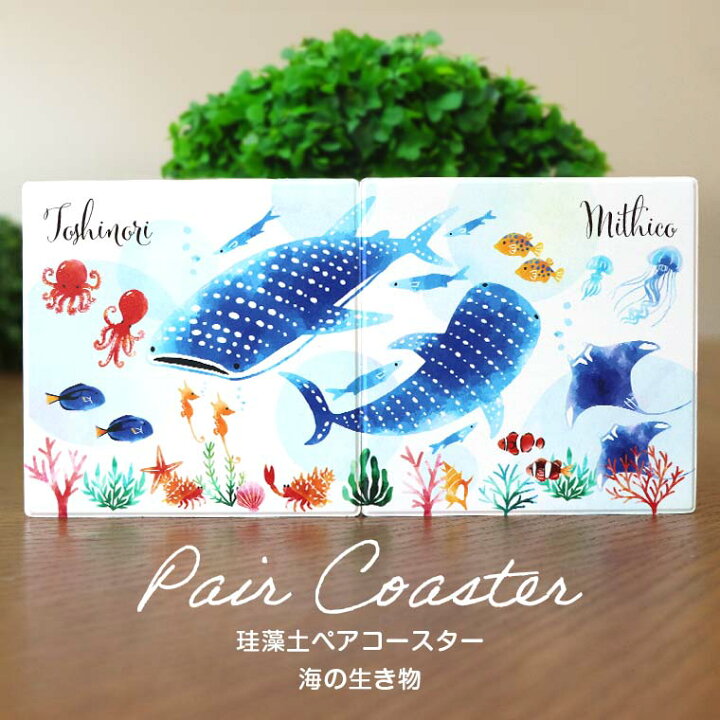 楽天市場 珪藻土ペアコースター 海の生き物 正方形 名入れ アンシャンテラボ シー Sea 大海原 水族館 ジンベエザメ 吸水 ギフトボックス付き お揃い オリジナル アイテム カフェ 記念 おしゃれ オシャレ お洒落 プレゼント 宅配便 アンシャンテマーケット