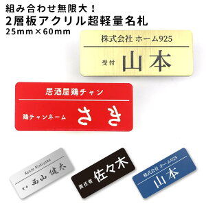 AN yʖD 6g 25mm×60mm 1.5mm AVe{ / IWii w D Ȃ܂ ڈ   t ē HX Ȃӂ IWi S[h Vo[ ubN b