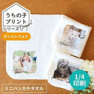 ̎qvgV[Y IVtHg 1/4 ~jnJ`^I 20cm×20cm zCg AVe{ / IWii nh^I ~j^I  I[_[Ch ybg  L O