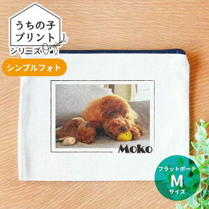 ̎qvgV[Y VvtHg tbg|[` i`J[ MTCY AVe{ / IWii IWi|[` ʐ^ ybg  L  IV v[g 