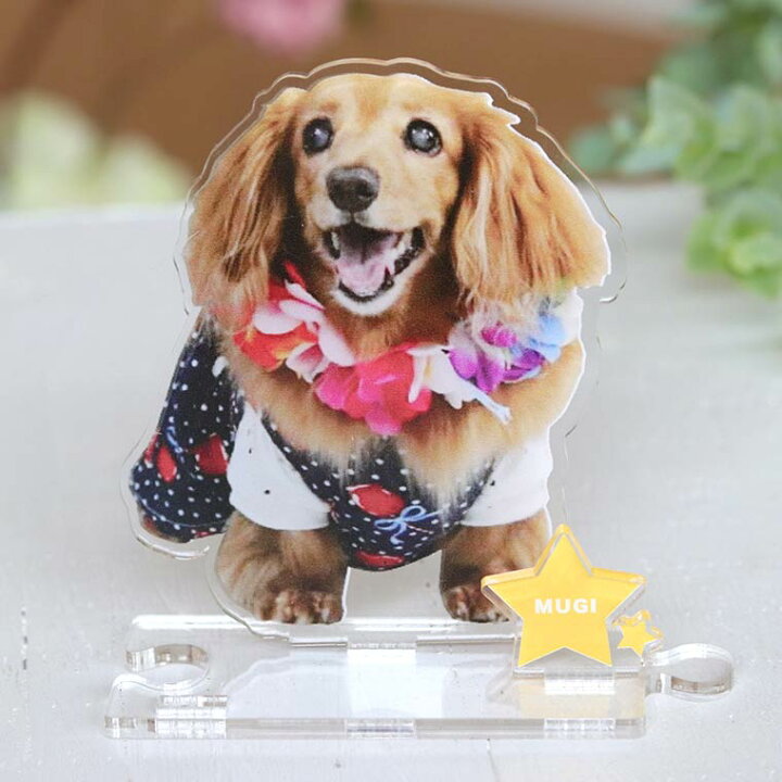 ペット 振り絞り 自分のペットを…！ 犬 猫 ストラップ 動物 オーダー 