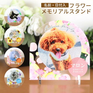 t[Av[g 14cm×14cm 5mm S5 AVe{ / IWii ANX^ ybg ʔv e  L Ck  ˂ lR AObY Ƒ  ybg{ 