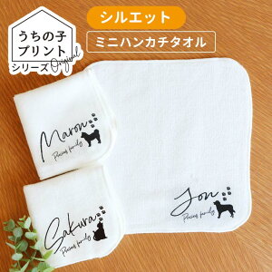 ̎qvgV[Y VGbg~jnJ`^I zCg 20cm×20cm AVe{ / IWii nh^I ~j^I   I[_[Ch ybg  L v[g 