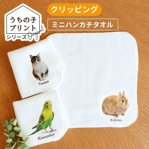 ̎qvgV[Y NbsO zCg ~jnJ`^I 20cm×20cm AVe{ / IWii nh^I ~j^I I[_[Ch ybg  L  IWi