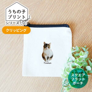 ̎qvgV[Y NbsO XNGAXNGAtbg|[` i` AVe{ / IWii IWi|[` ʐ^  ybg  L  IV v[