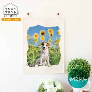 ̎qvgV[Y IVtHg ^yXg[ A4 AVe{ / IWii CeA IWi ʐ^  ybg  L  IWiObY  ̓ 