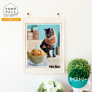 ̎qvgV[Y VvtHg ^yXg[ A4 AVe{ / IWii CeA IWi ʐ^  ybg  L  IWiObY  ̓ 