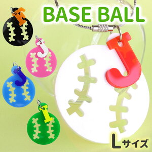 AN x[X{[L[z_[ LTCY CjV`[t IׂLxȃJ[ AVe{ / IWii  c LOi 싅 At@xbg  l[^O 