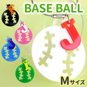 AN x[X{[L[z_[ MTCY CjV`[t IׂLxȃJ[ AVe{ / IWii  c LOi 싅 At@xbg  l[^O 