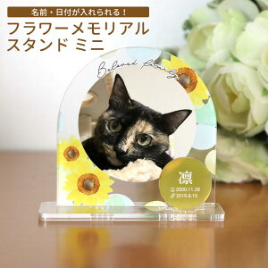t[AX^h ~j S5 70mm×73mm×30mm 3mm AVe{ / IWii ybg ʔv e  L Ck  ˂ lR AObY Ƒ  ybg{ 