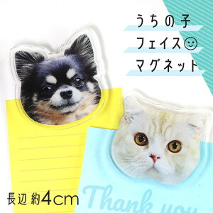 ̎q tFCX}Olbg 4cm AVe{ / IWii NA AN ʐ^  I[_[Ch Ck    lR L ˂  tHg ̓ j vo I