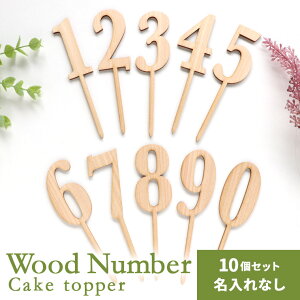 ؐ P[Lgbp[  ꖳ 10Zbg AVe{ / IWii ؐ P[LsbN gbp[ P[L葕 a aP[L o[Xf[ Ajo[T[ LO