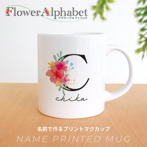 t[At@xbg }OJbv AVe{ / IWii e310ml t Rbv JX^}O O  CjV ԕ  Mtg Vv v[g t[ X^C