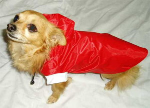 ݌ɌIJ̓U􃏃̃CR[g CG[ bh STCY MTCY /  Jbp H  Jp  hbO ʁy䂤pPbgΉz