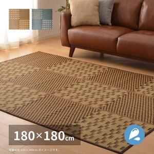 �y���[�J�[�����z���� �͂��� �������O �L�n�` ��180×180cm BR (�u���E��)