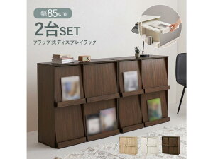 �y���[�J�[�����z���� �t���b�v���f�B�X�v���C���b�N�i2��g�j RCC-1716BR-2S