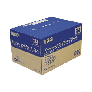 q Rs[pX[p[zCgCbN SWLB4 B-4 500x5