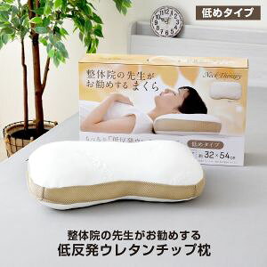 ̉@̐搶߂@ᔽE^`bv@߃^Cv