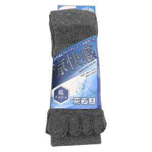 [�R�[�R�X�M��]�ꃁ�b�V��5�{�w�\�b�N�X 3P RC5206 D�O���[ F