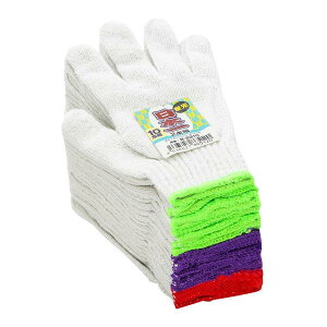 [R[RXM] 2{҂݌u10P@B|2310@TV