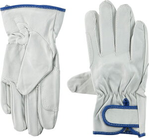 [R[RXM]\}WbNĕt@L@JC|7031