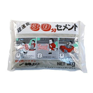 家庭化学 超速乾30分セメント グレー 1kg