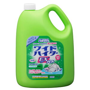yƖp ߗp_fnY܁zChnC^[EXp[ 4.5L(ԉvtFbViV[Y)
